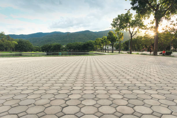Professional Driveway Pavers in Fountain, CO
